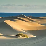 Las Olas Beach