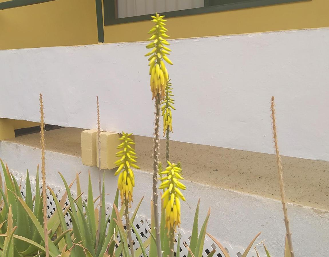 Caroni Apartamento