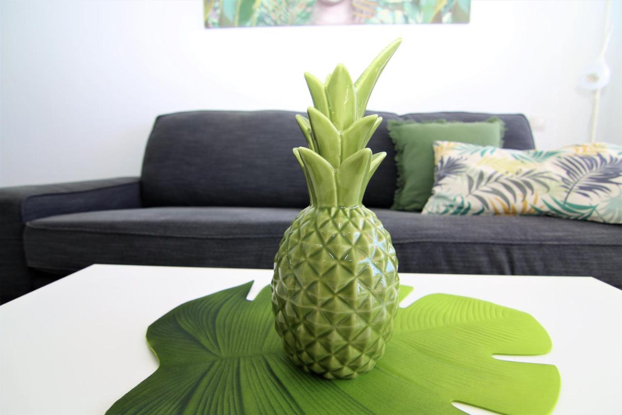 Aloe Floor Playa del Inglés