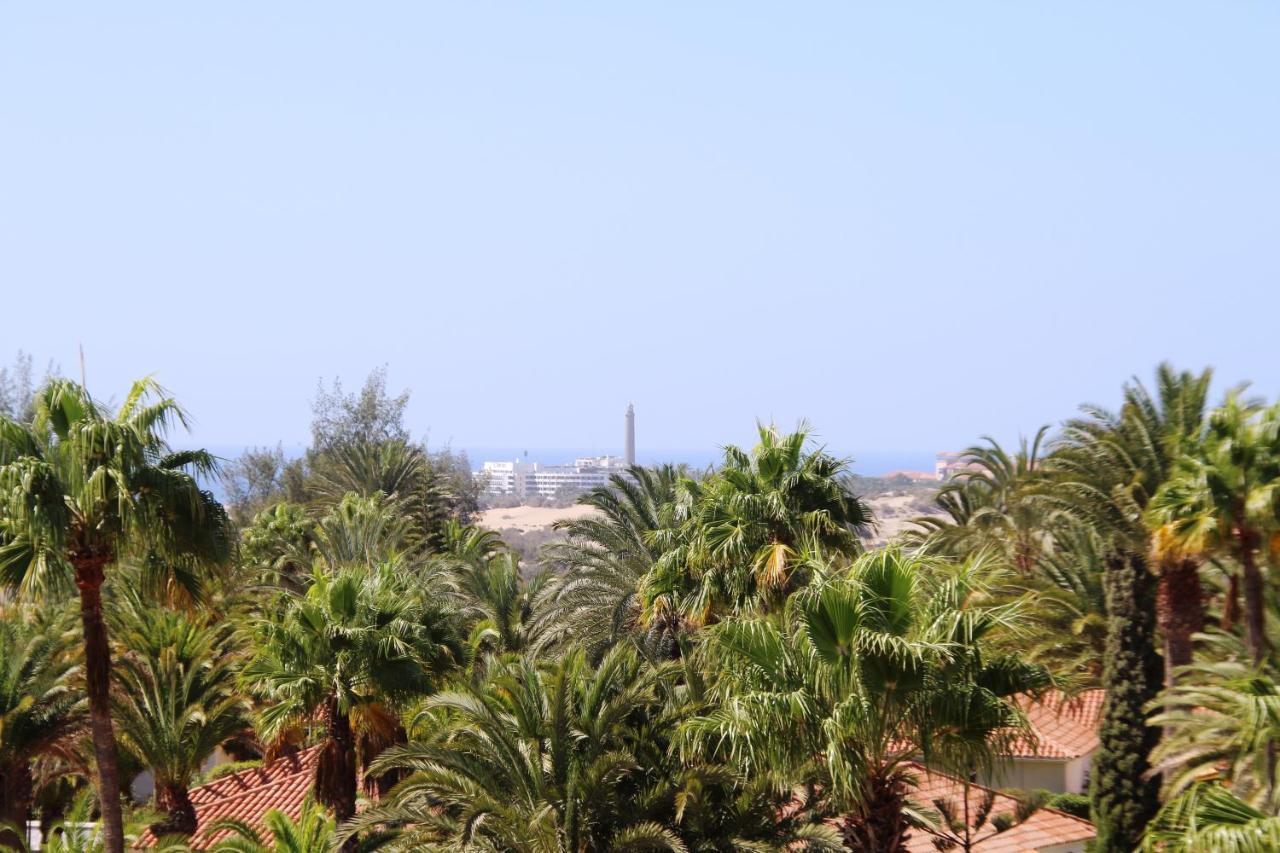 Aloe Floor * Playa del Inglés