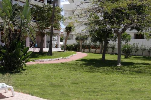 Teneguia