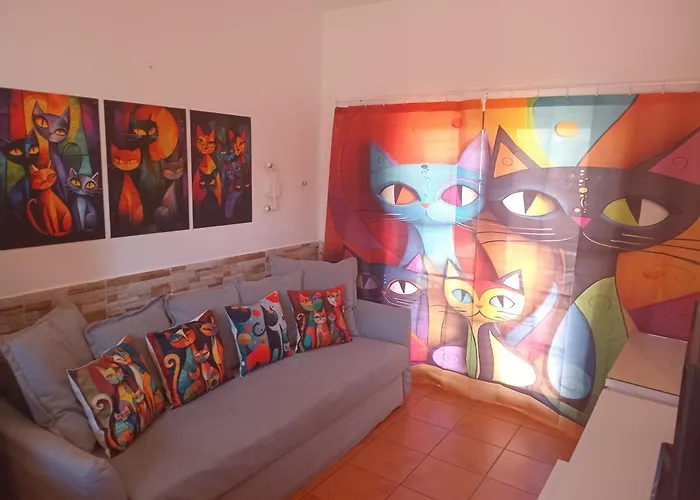 Casita De Gatas Olia