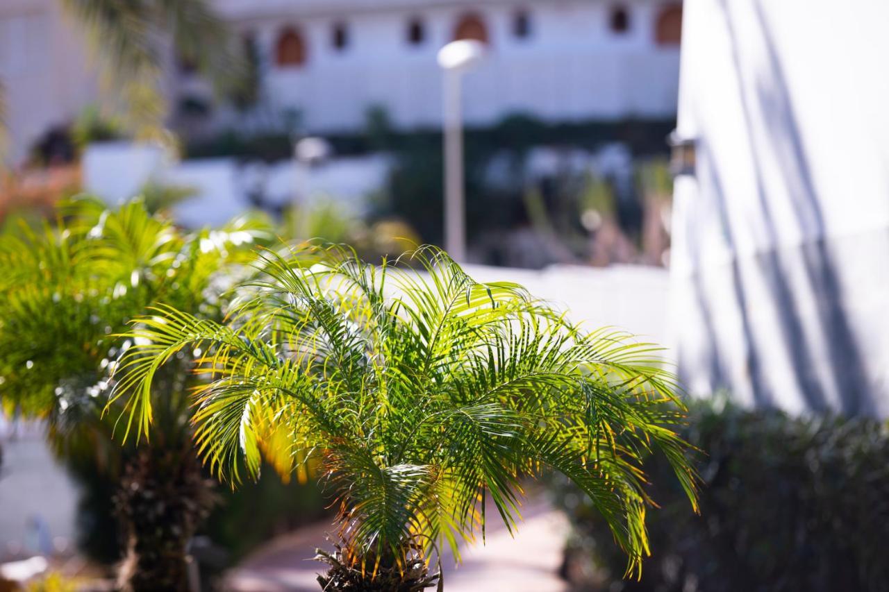 Jacarandas Beach