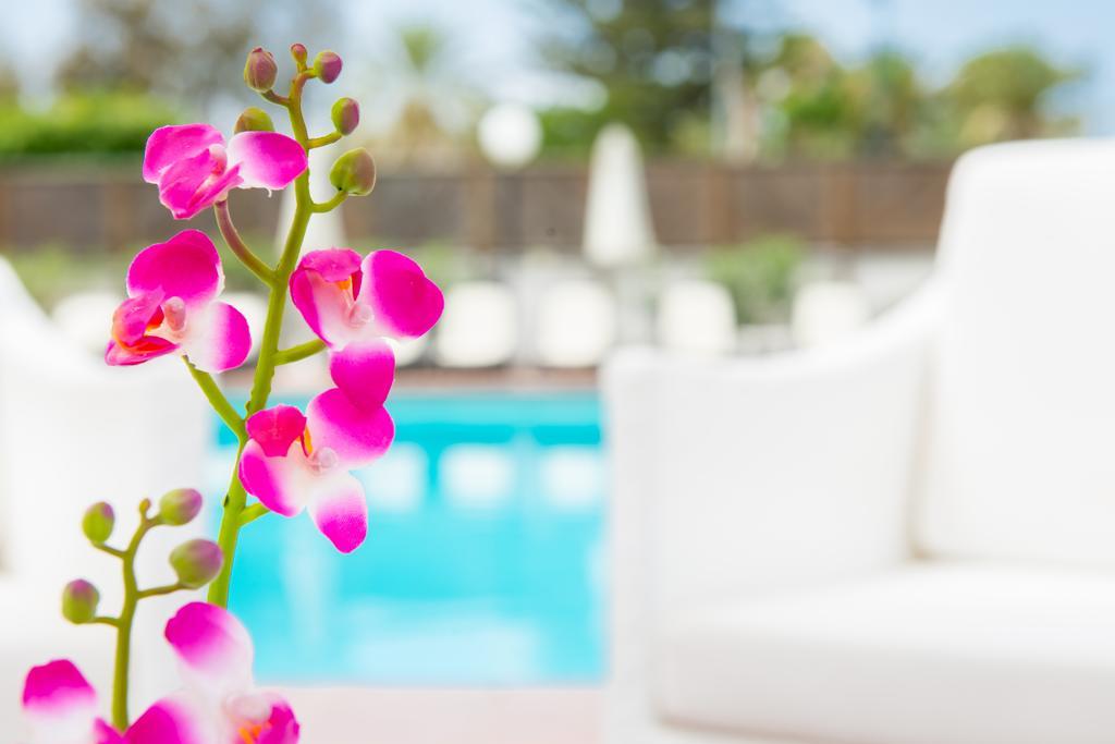 Apartment Sunny Village Playa del Ingles (Gran Canaria)