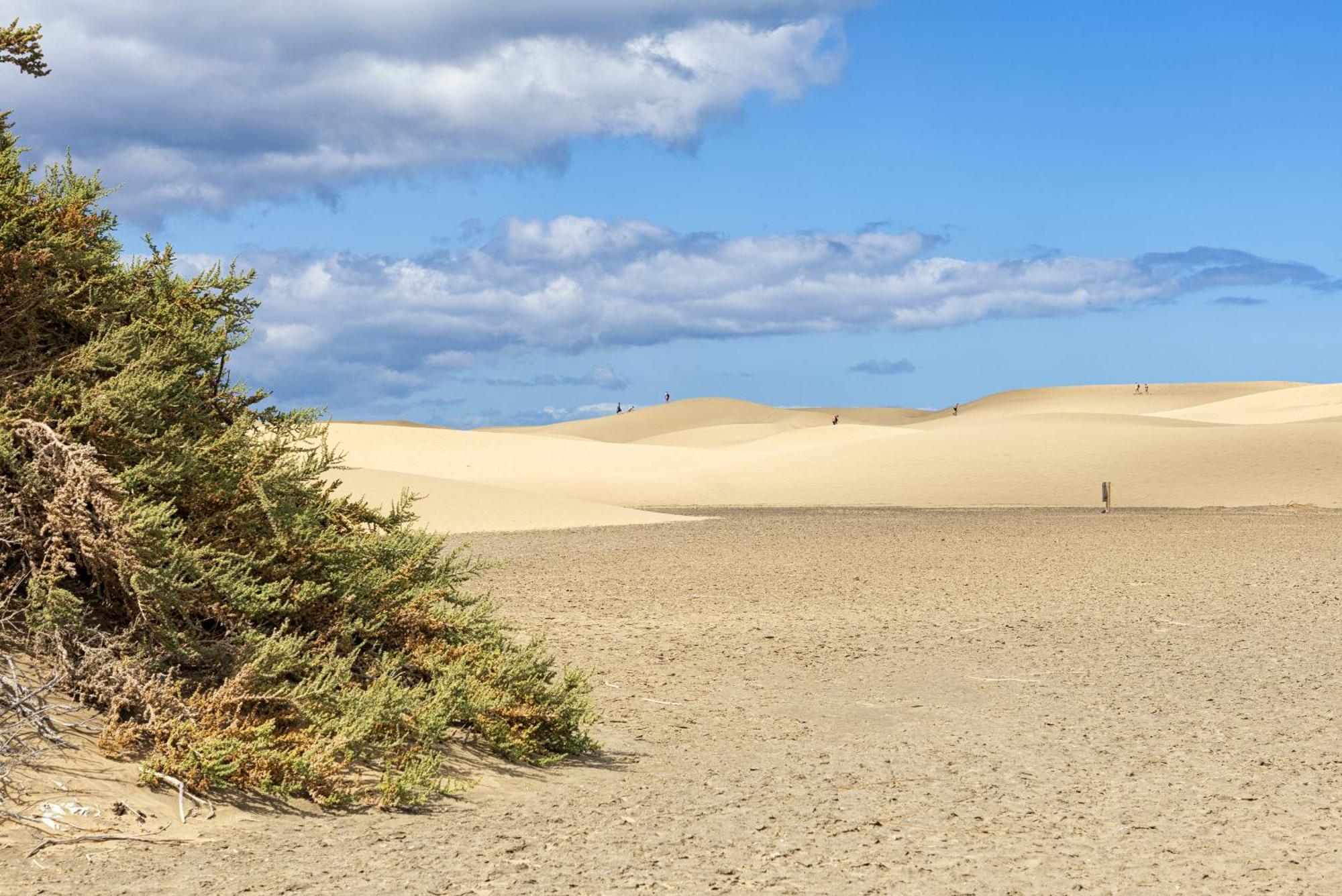 Lomakylät Smartr Maspalomas Corinto 2*