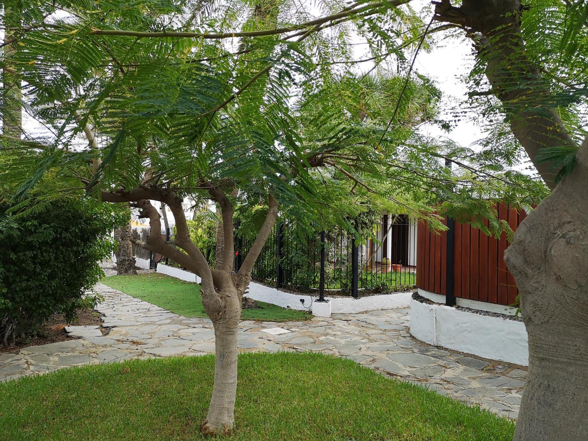 Сasa de vacaciones Casa Celi Playa del Inglés
