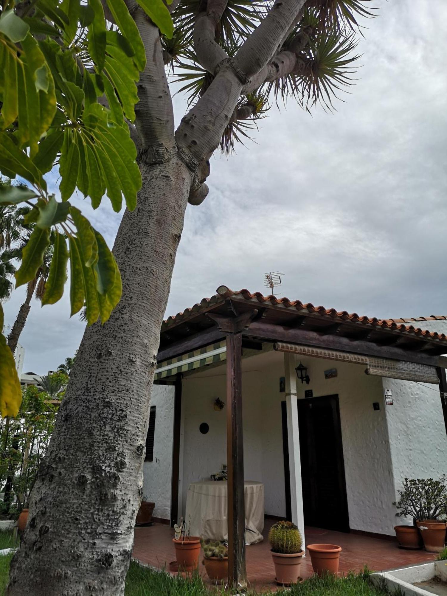 Casa Celi Сasa de vacaciones Playa del Inglés