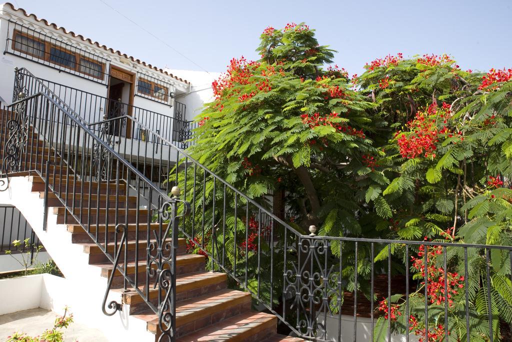 Apartment Alsol Orquideas Playa del Ingles (Gran Canaria)