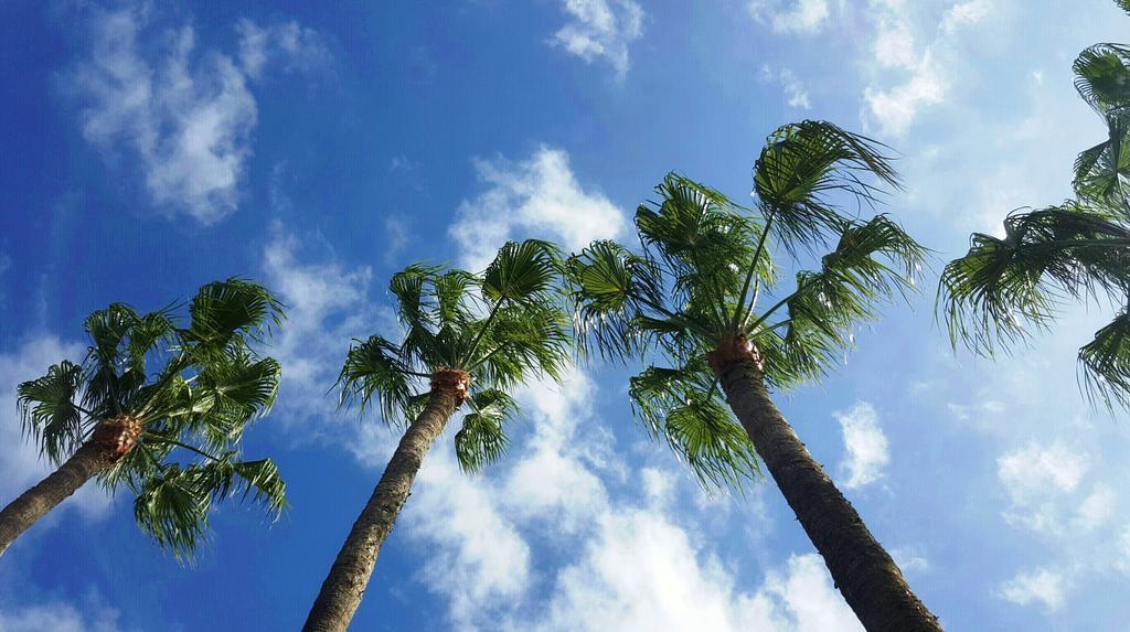 Alsol Nogal- Adults Only Playa del Ingles (Gran Canaria)