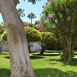 Apartamentos Don Quijote