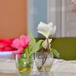 Bungalow En Playa Del Ingles