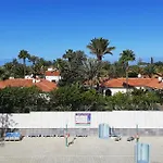 Aloe 3