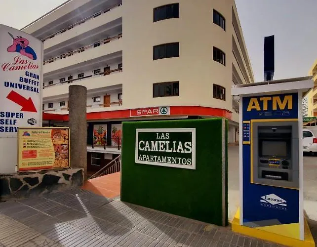 Las Camelias Apartments Ci15