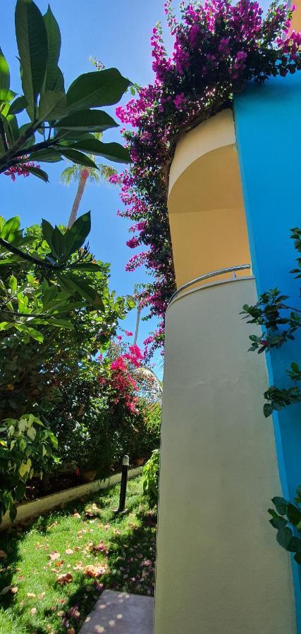 Appartement Alsol Don Palomon *