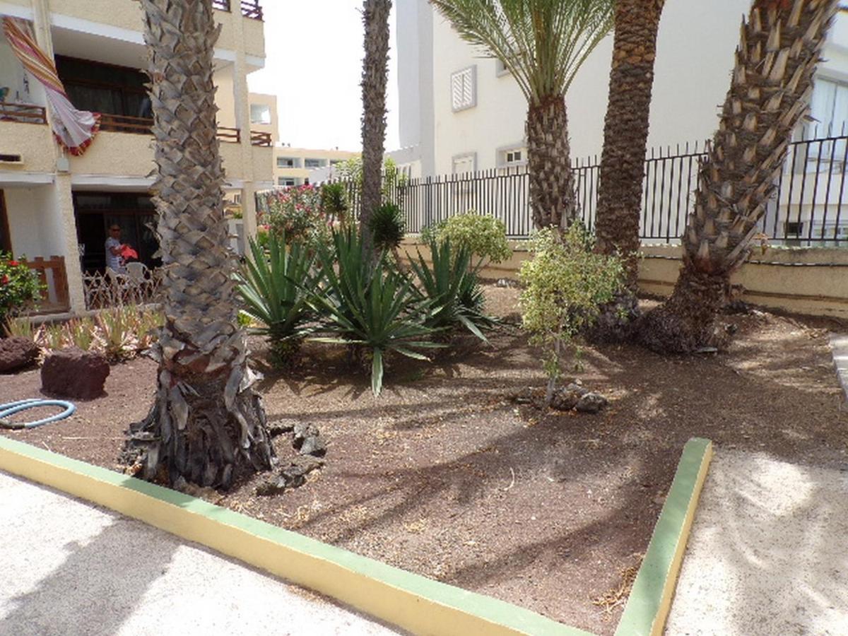 Juncos 403 Apartment Playa del Ingles (Gran Canaria)