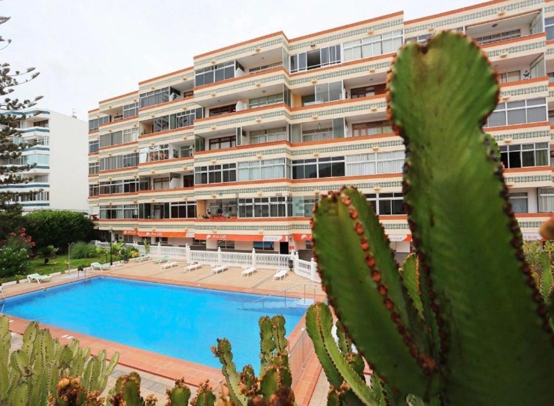 Apartment Calm, Cosy And Bright Renovated In Playa Del Ingles- Wifi Free *