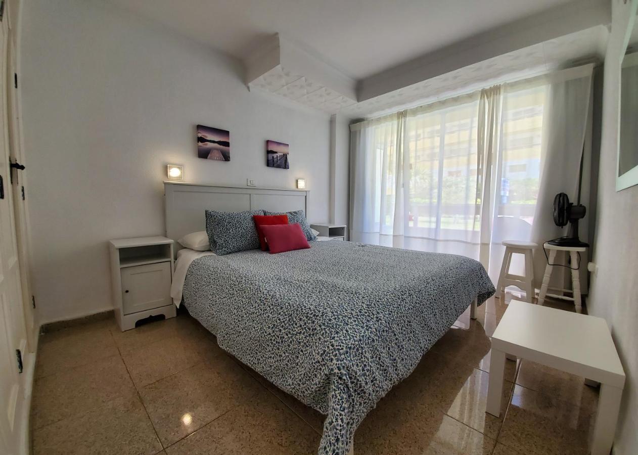 Camelias Ci17 *