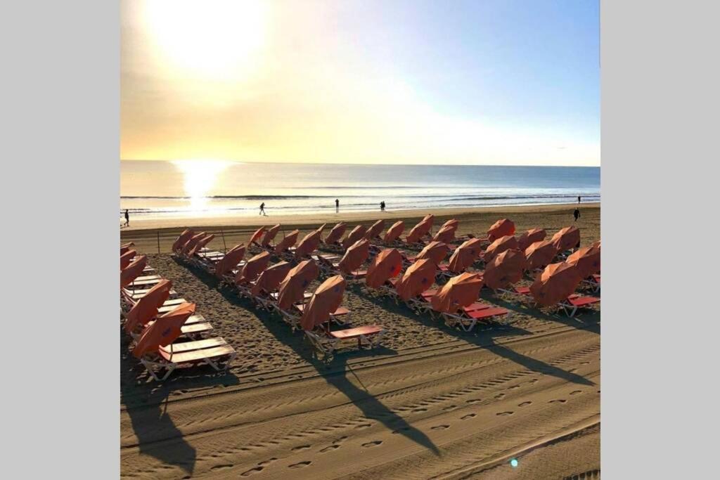 Apartment Luxury 1 Minute From The Of The Dunes