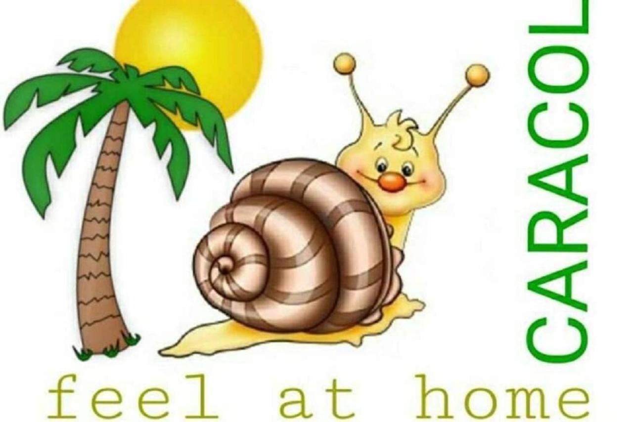 Caracol Playa del Inglés