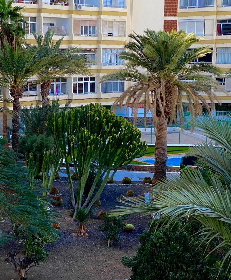 Cozy Near Yumbo Playa del Ingles (Gran Canaria)