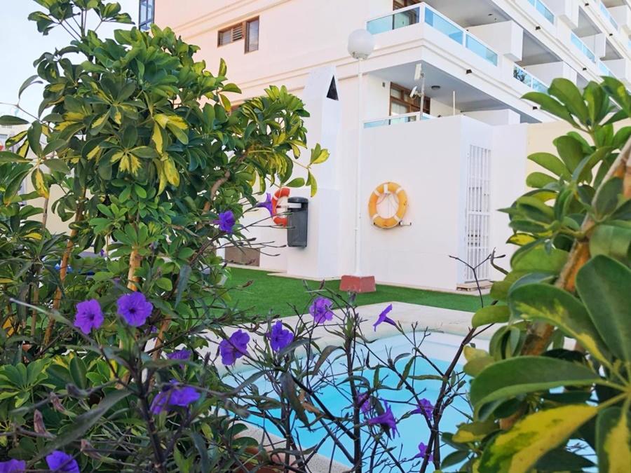 Appartement Don Gregorio *