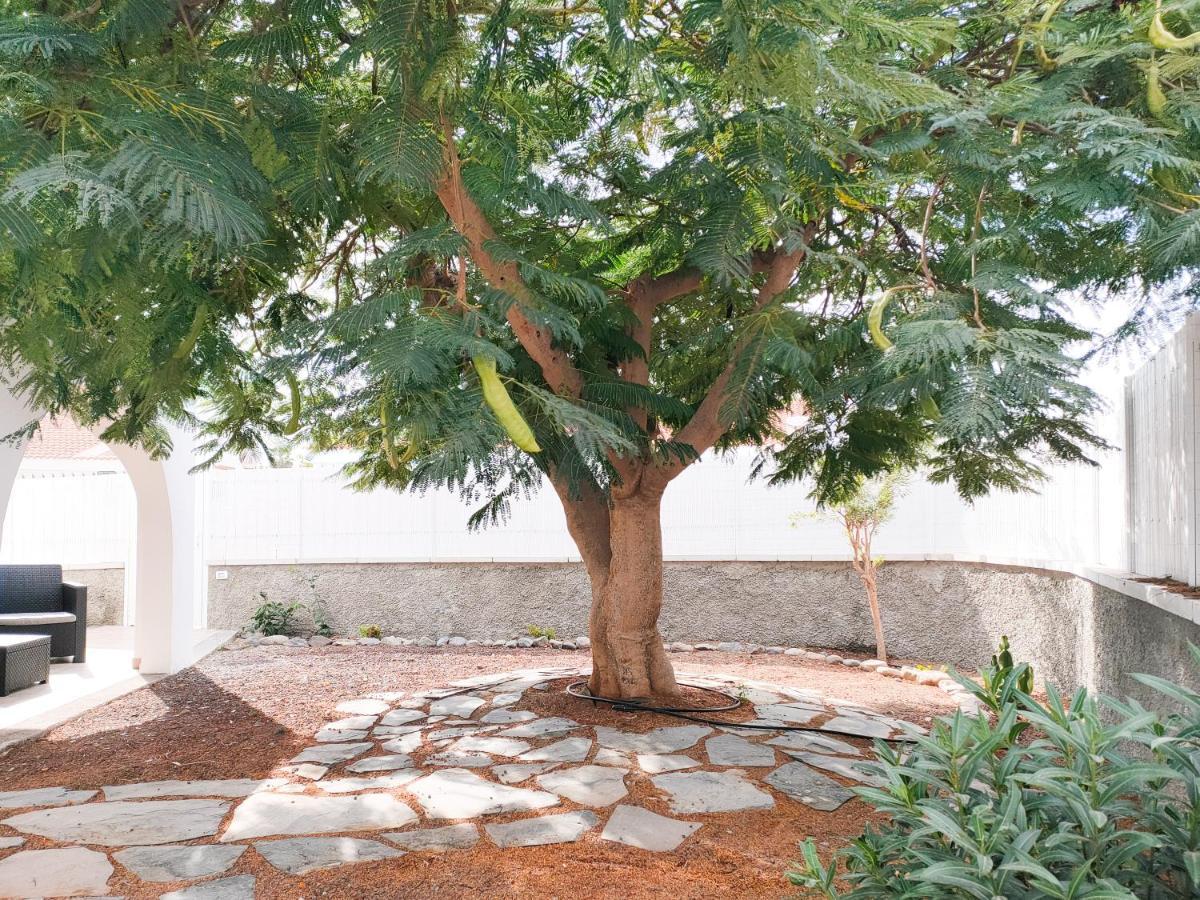 Holiday home Pretty Terrace House In Maspalomas Playa del Ingles (Gran Canaria)