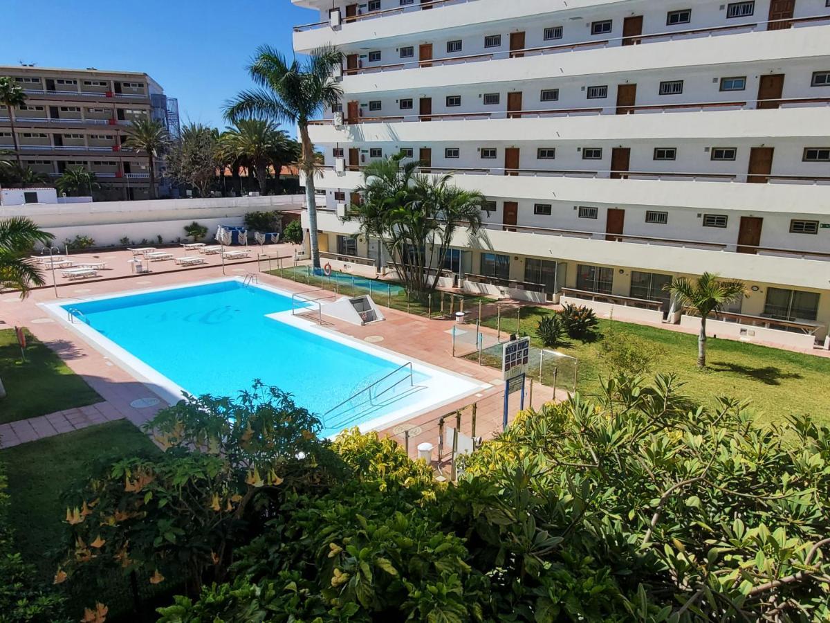 Camelias Ci15 Playa del Inglés