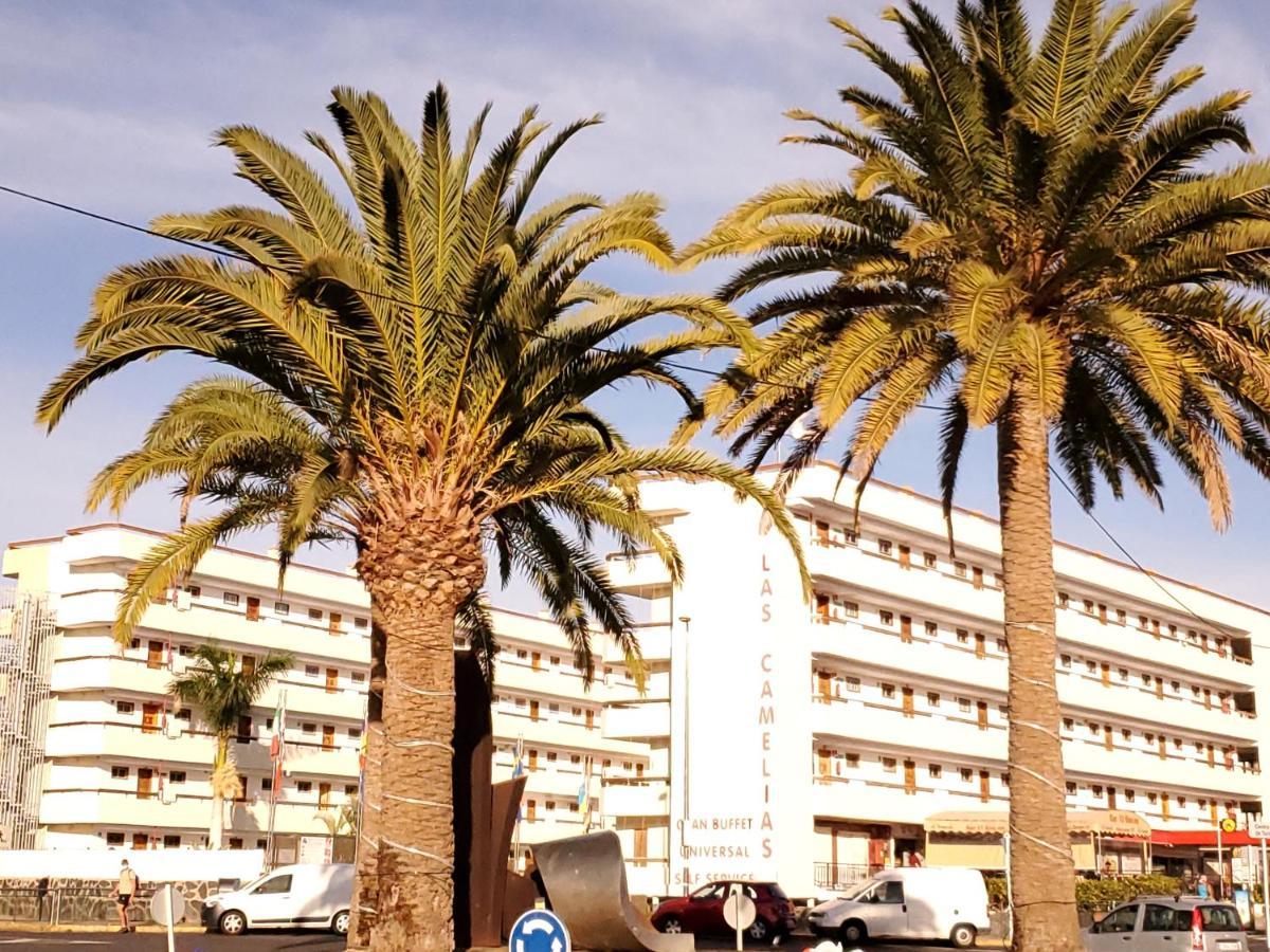 Camelias Ci15 * Playa del Inglés