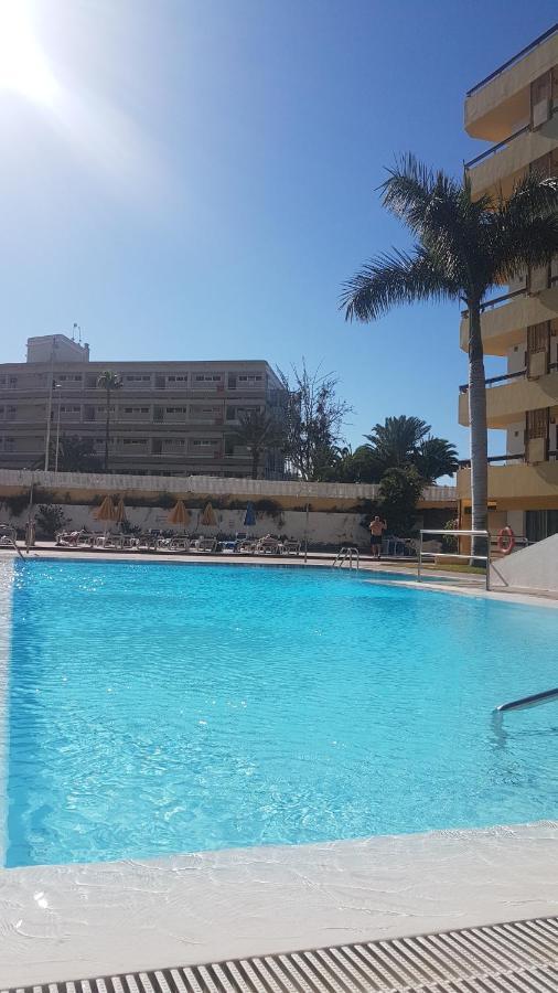 Camelias C14 Playa del Inglés