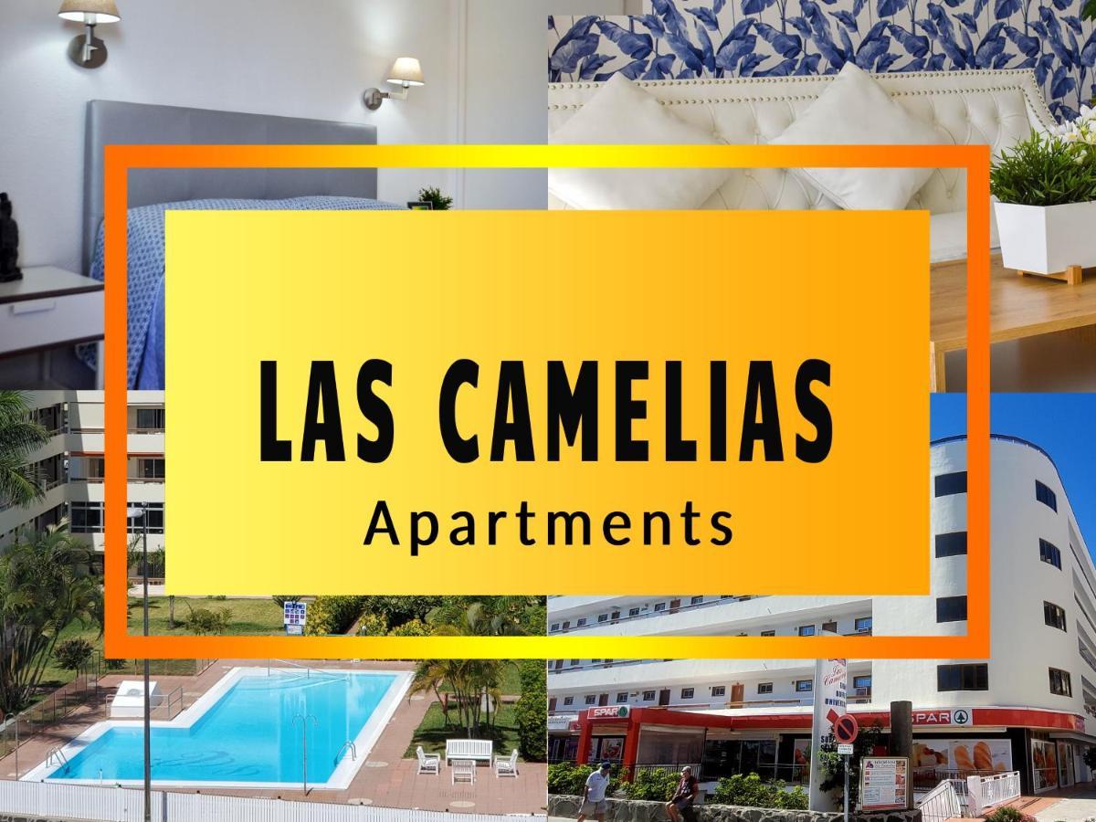 Camelias C14 Playa del Inglés