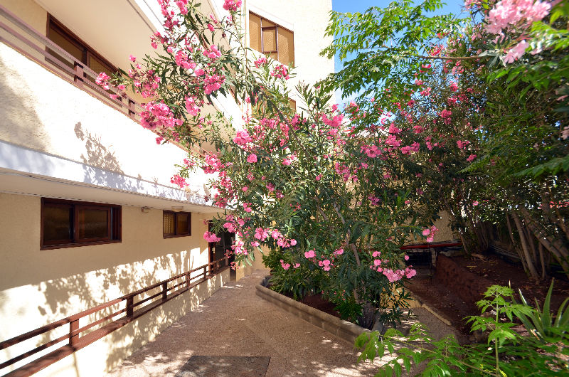 Appartement Juncos I