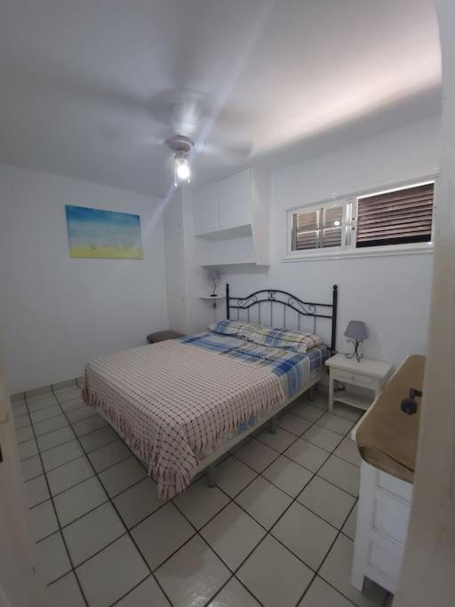 Lovers From In Sunny Gran Canaria Apartment