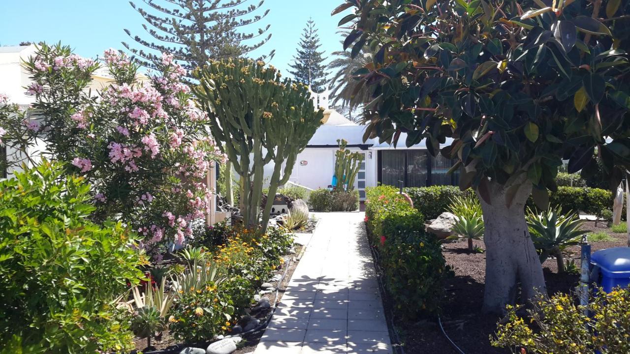 Bungalow 2-4 With Jacuzzi Appartement