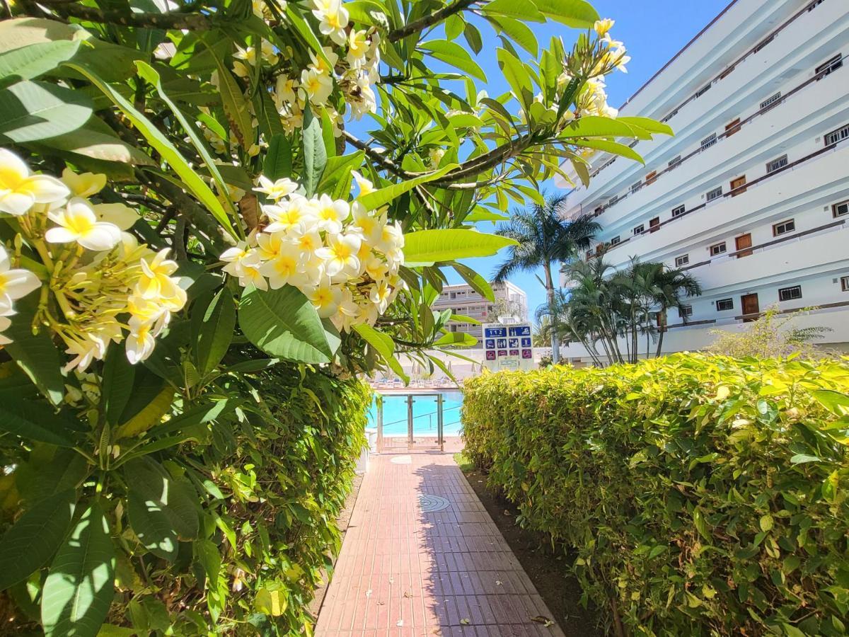 Rt-las Camelias Playa del Ingles (Gran Canaria)