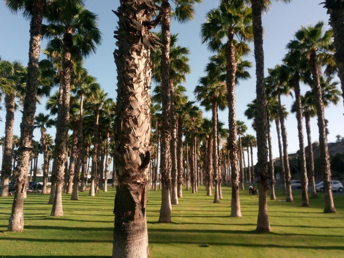 Garland Agaete Parque Playa del Ingles (Gran Canaria)