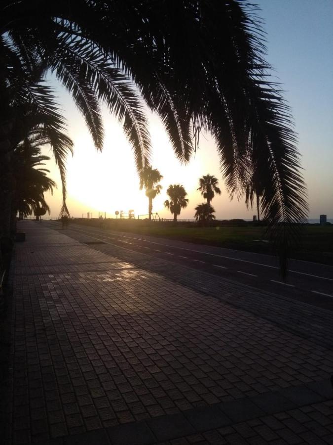 Garland Agaete Parque Playa del Ingles (Gran Canaria)