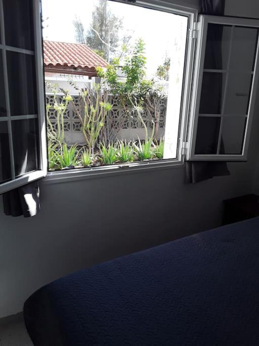 Holiday home Tres Beau Bungalow,jardin Tropical, Renovation Ete 2020 Playa del Ingles (Gran Canaria)