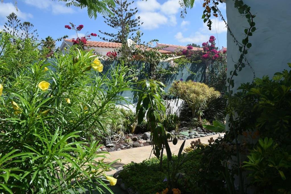 Holiday home Tres Beau Bungalow,jardin Tropical, Renovation Ete 2020