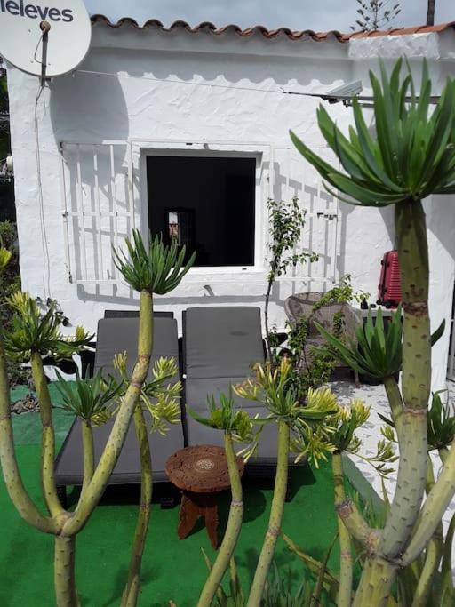 Tres Beau Bungalow,jardin Tropical, Renovation Ete 2020 Holiday home Playa del Ingles (Gran Canaria)