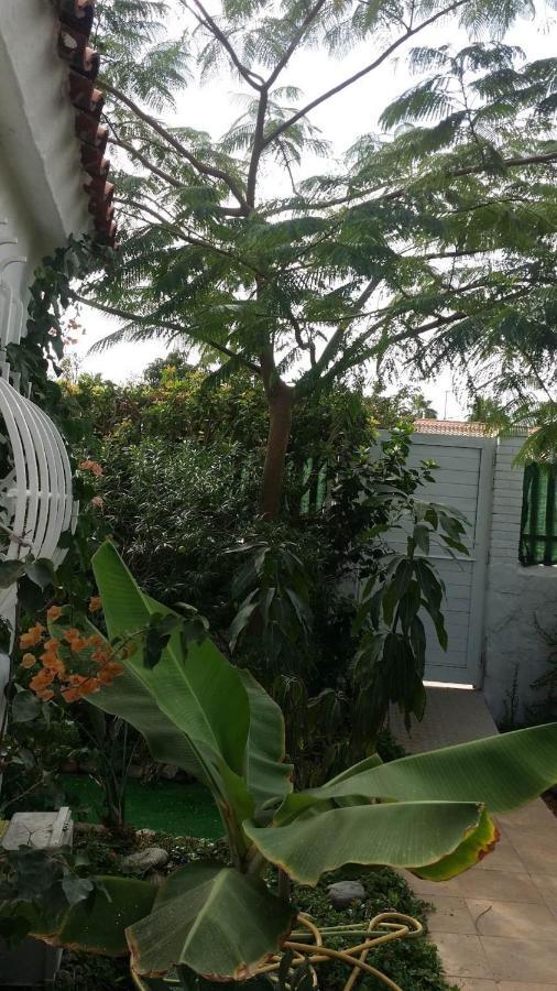 Tres Beau Bungalow,jardin Tropical, Renovation Ete 2020 * Playa del Ingles (Gran Canaria)