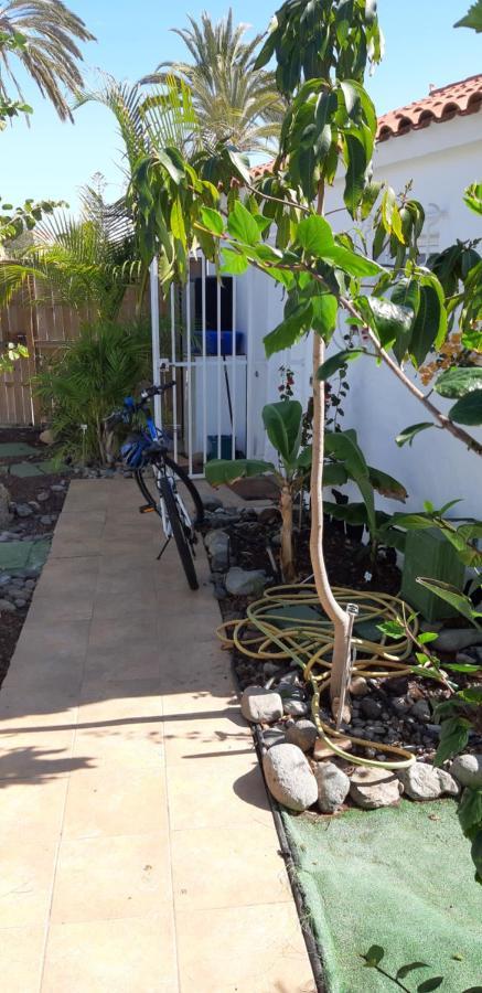 Holiday home Tres Beau Bungalow,jardin Tropical, Renovation Ete 2020 *