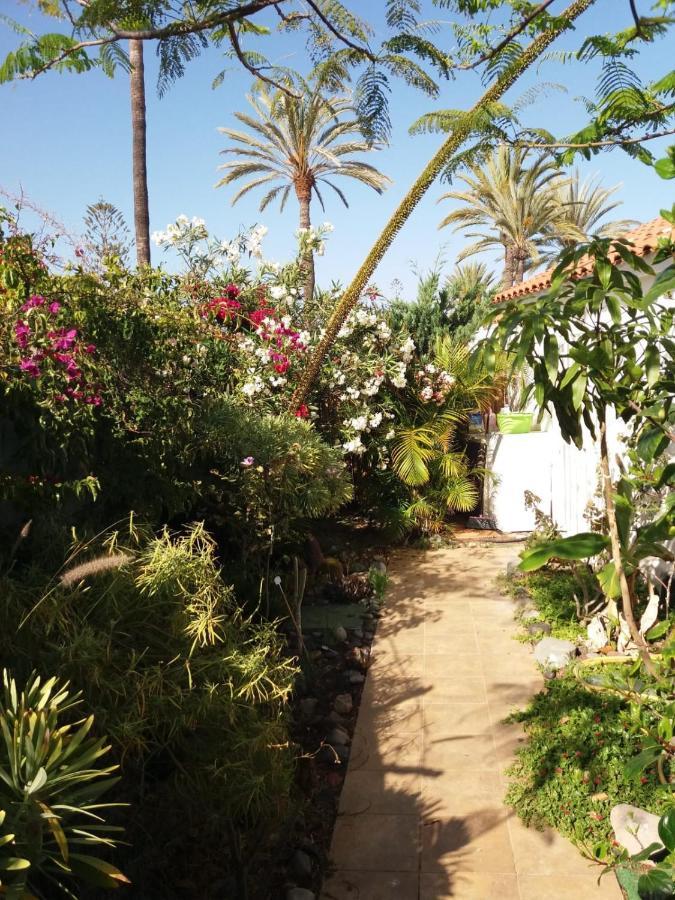 Tres Beau Bungalow,jardin Tropical, Renovation Ete 2020 Casa de férias *