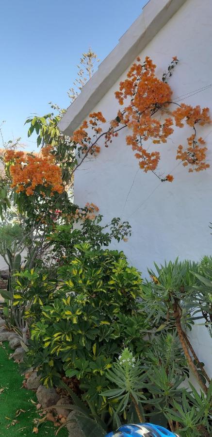 Holiday home Tres Beau Bungalow,jardin Tropical, Renovation Ete 2020 *