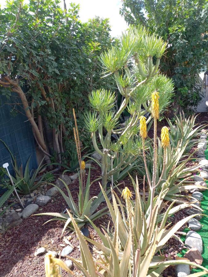 Tres Beau Bungalow,jardin Tropical, Renovation Ete 2020 * Playa del Ingles (Gran Canaria)