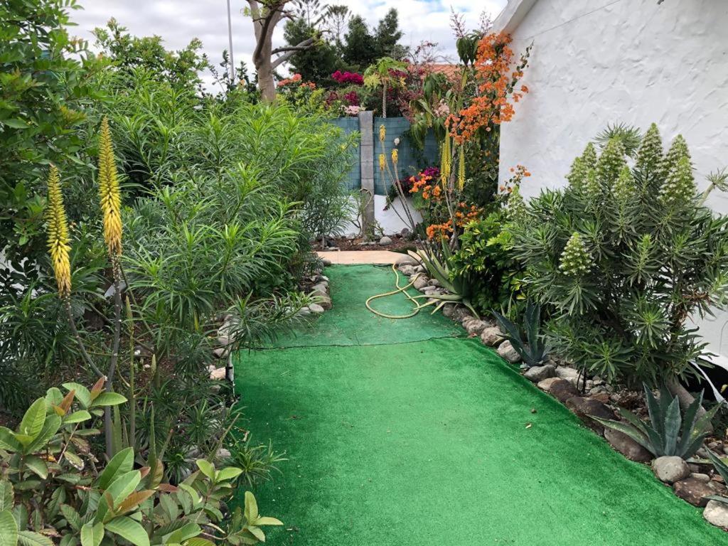 Tres Beau Bungalow,jardin Tropical, Renovation Ete 2020 Holiday home *