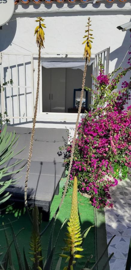Tres Beau Bungalow,jardin Tropical, Renovation Ete 2020 *