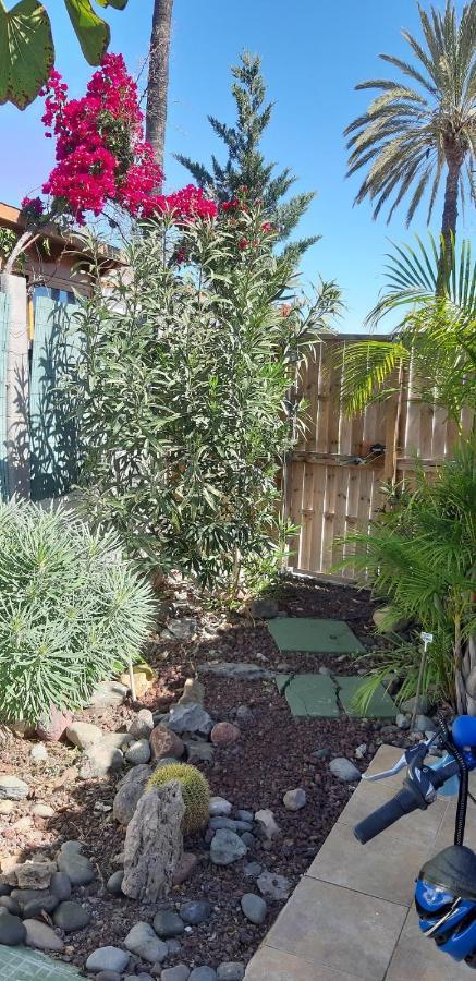 Tres Beau Bungalow,jardin Tropical, Renovation Ete 2020 *