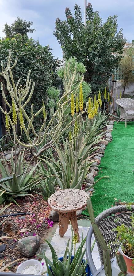 Tres Beau Bungalow,jardin Tropical, Renovation Ete 2020 Holiday home