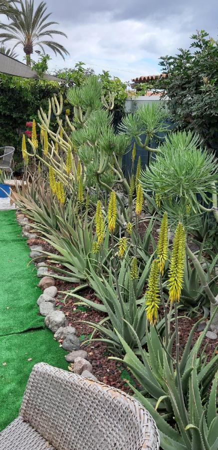 Holiday home Tres Beau Bungalow,jardin Tropical, Renovation Ete 2020