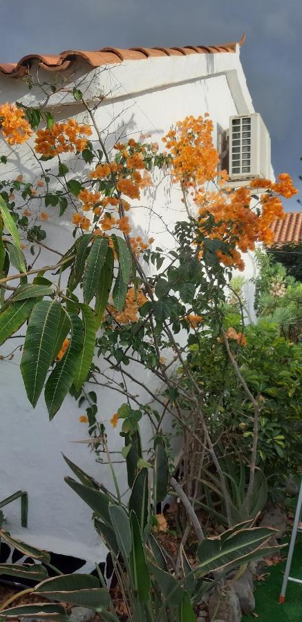 Tres Beau Bungalow,jardin Tropical, Renovation Ete 2020